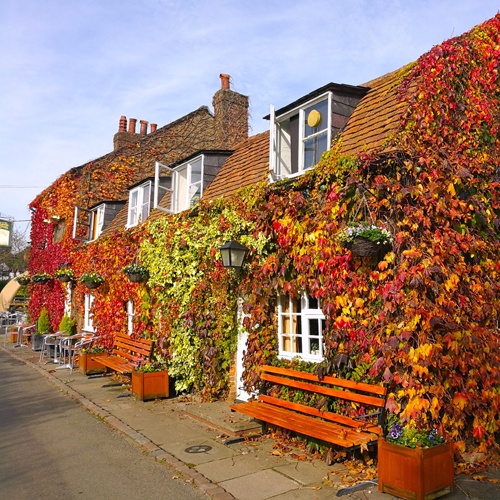 Bricklayers Arms 500x500.jpg