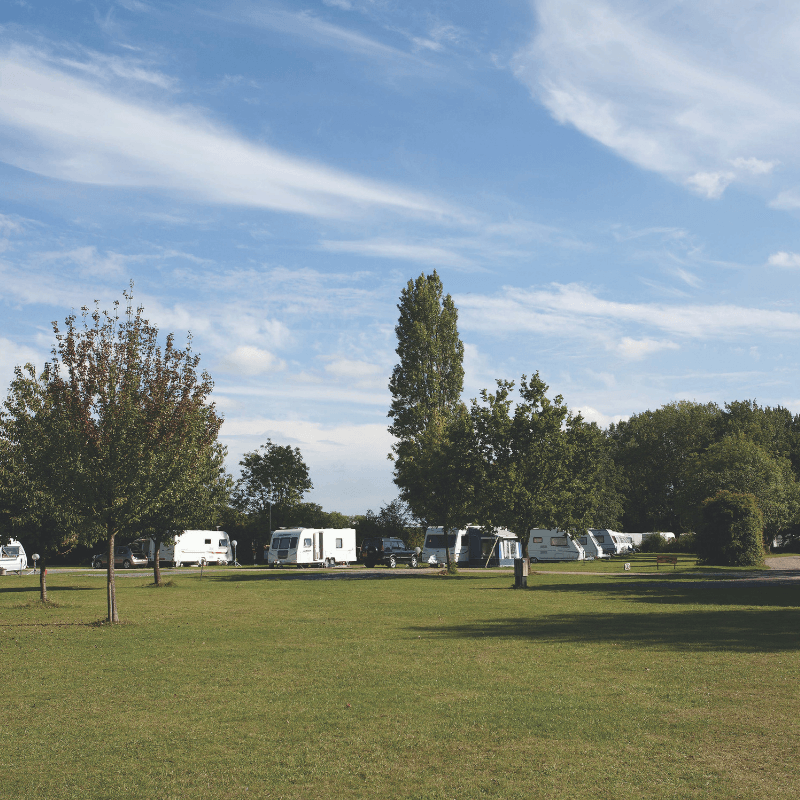 Untitled design (9).png