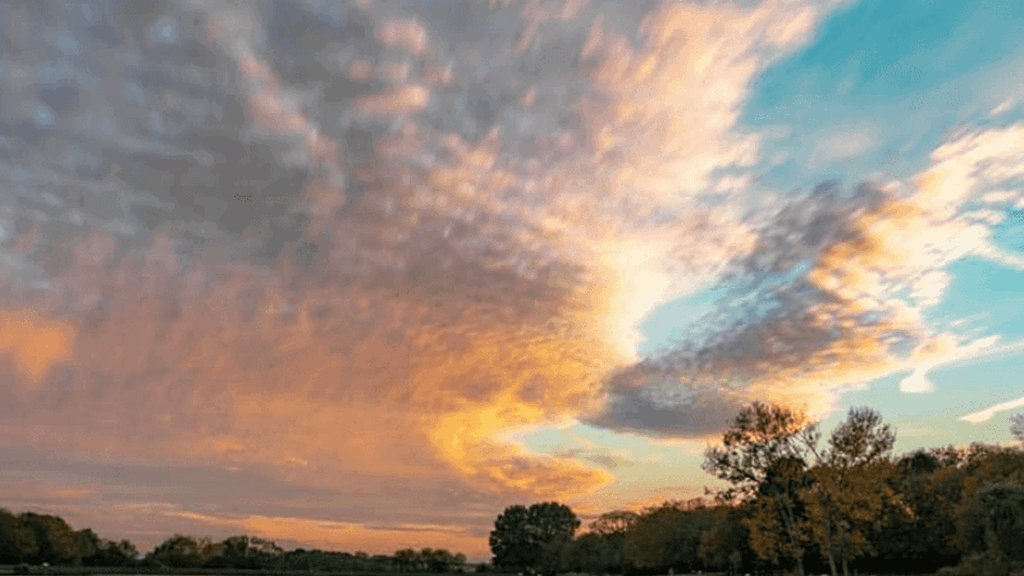 48 hours in Stevenage (4).png