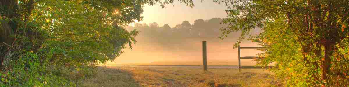 11 Misty Morning Monks Wood Looking Across Fairlands Valley.jpg