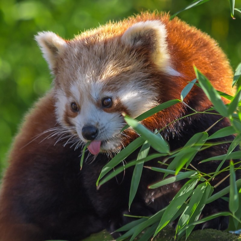 Untitled design (47).jpg