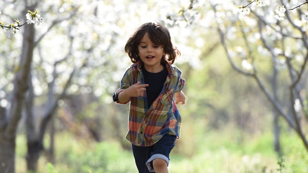 blurred-background-boy-child-1416736 (1).jpg