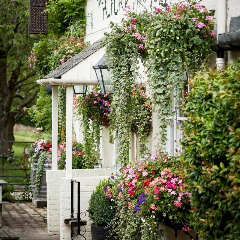 07_28_17_Sailsbury_Pubs_AA_693 blog.png