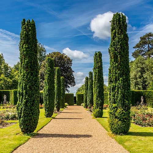 Knebworth 500x500.jpg