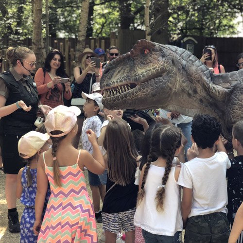 Paradise 500x500.jpg