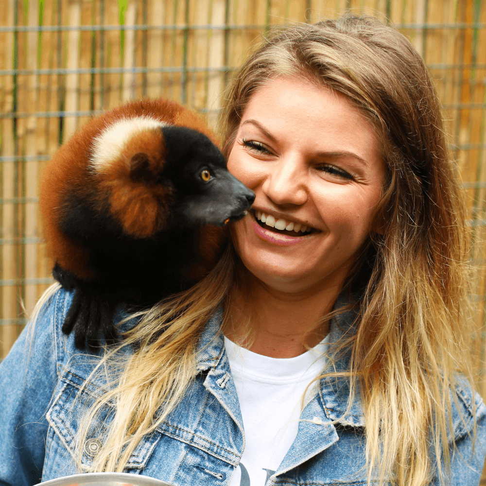 Paradise Wildlife 1000X1000 (1)