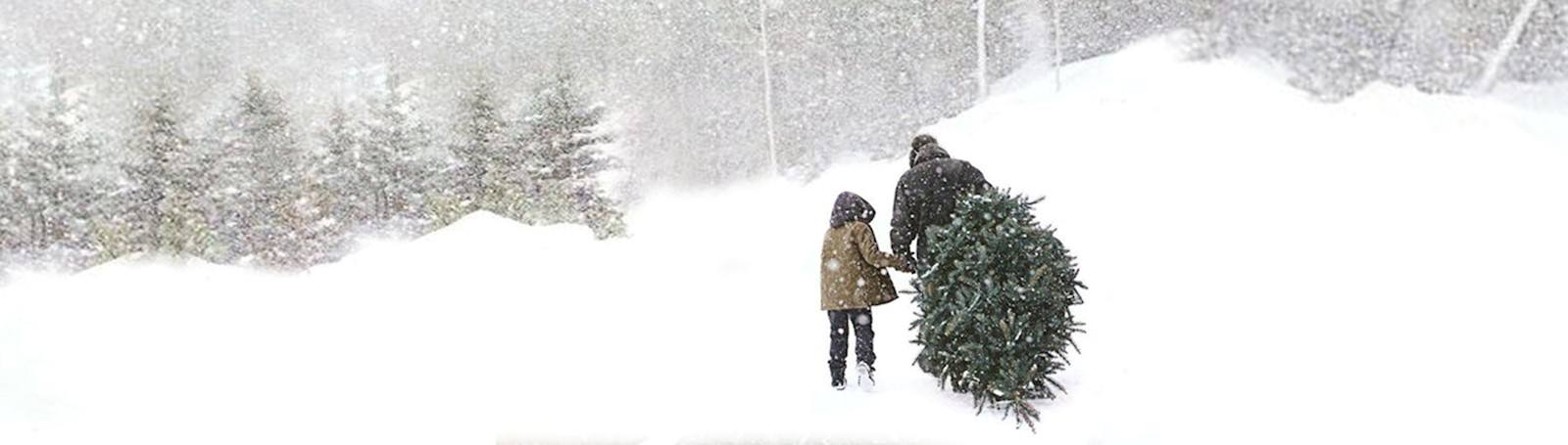 d390252f-2497-4944-807c-2048d565d75b-Christmas Barns Cover Photo Twitter.jpg