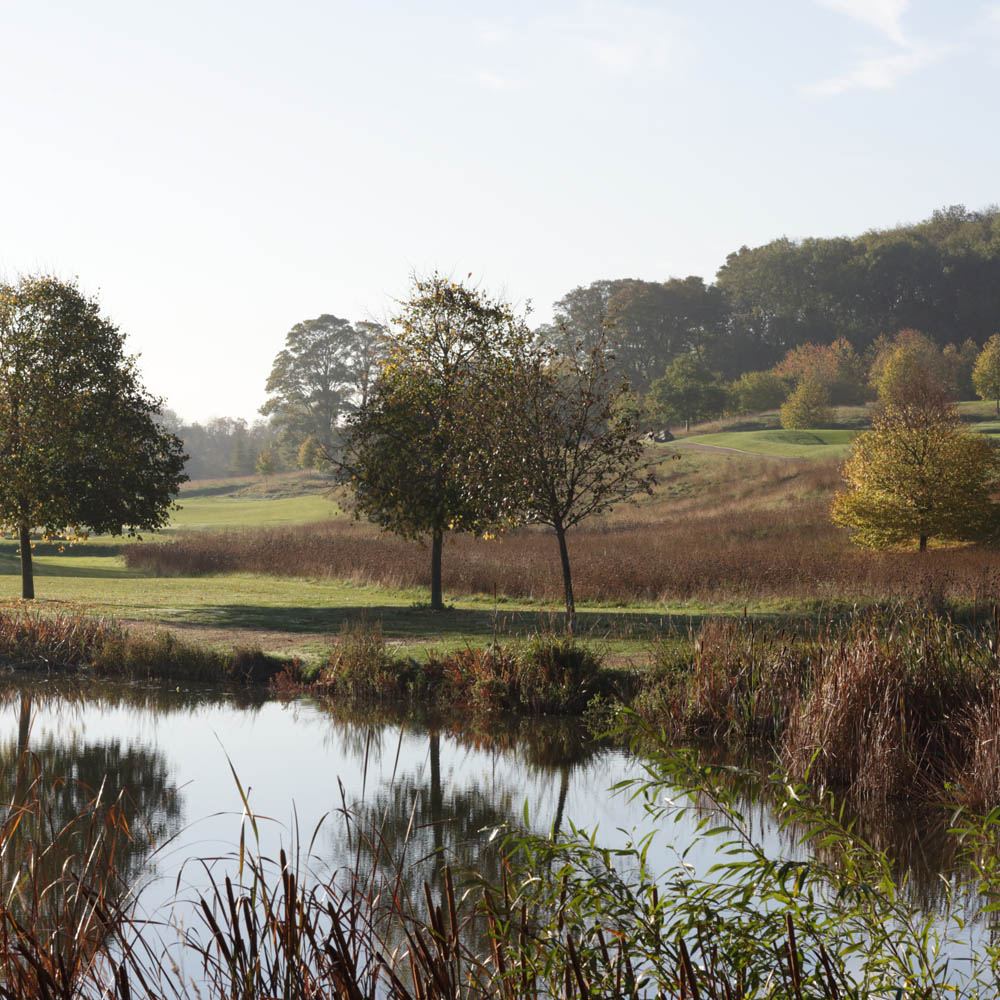 The Grove 1000X`1000