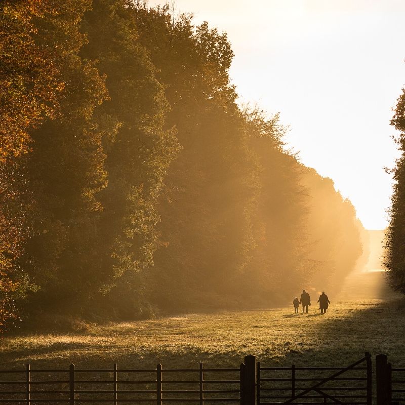 Ashridge