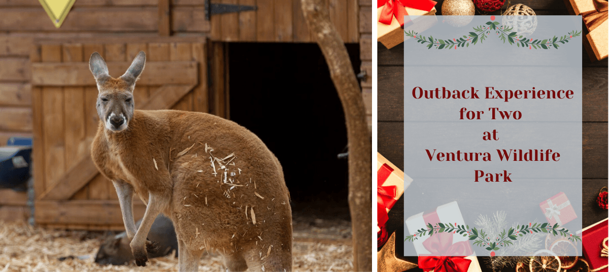 outback-experience-for-2-at-ventura-wildlife-prak.png