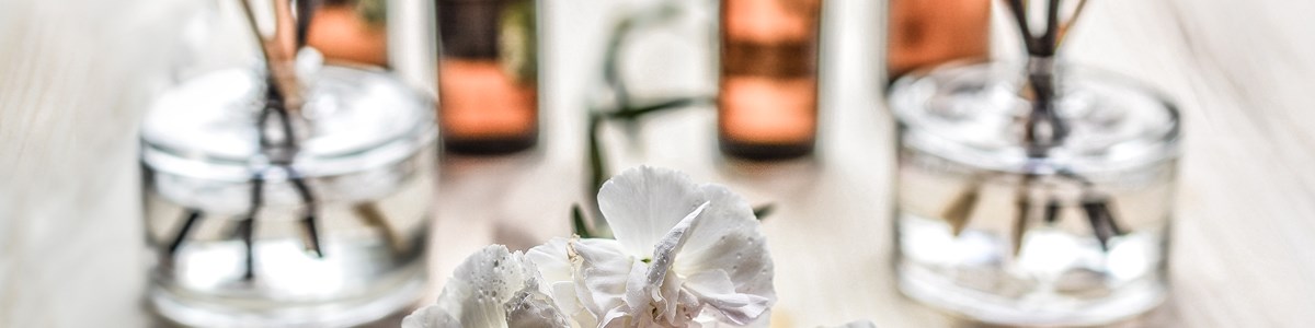 White And Purple Flower Plant On Brown Wooden Surface 161599 (2)