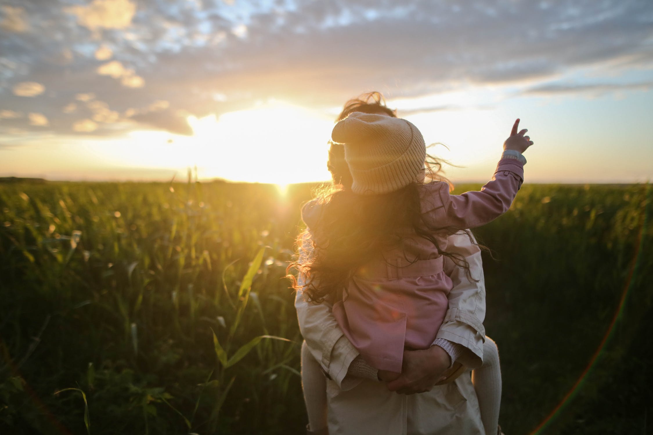 Half Term In Hertfordshire Visit Herts Half Term In Hertfordshire Visit Herts
