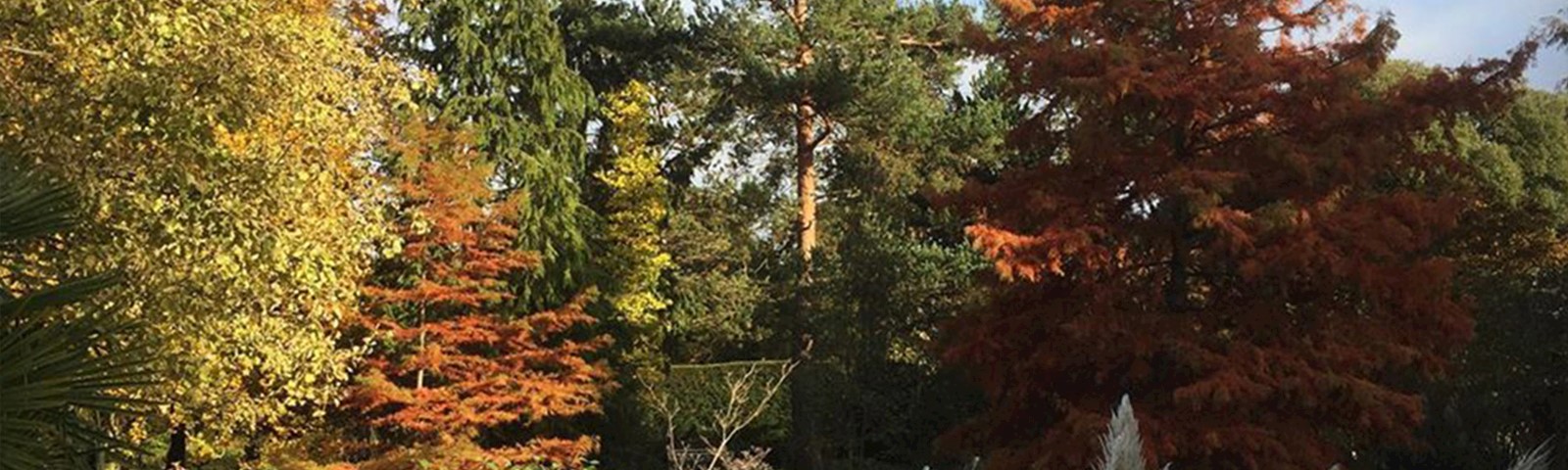 61316995-41c0-41ec-8fa3-b9600f4a635e-200220_MyGardenTours20_Autumn.jpg