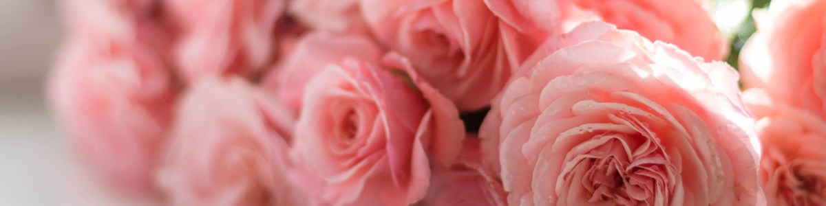 Pexels Valeria Boltneva 617967