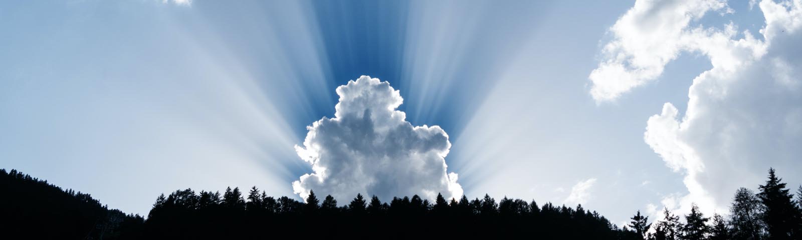 Banner Health And Well Being 2021