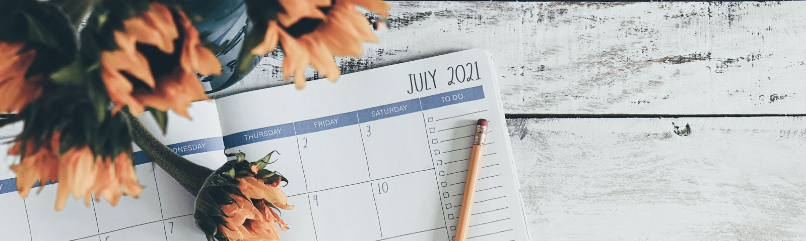 Herts Summer Events Banner