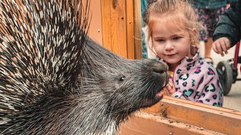 Summer Holidays Herts