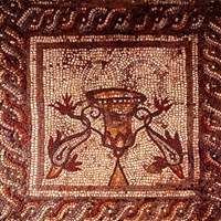 Verulamium Museum 800X800