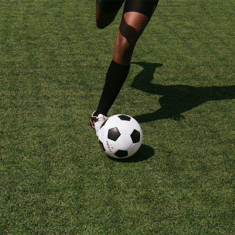 Watford Museum 800X800