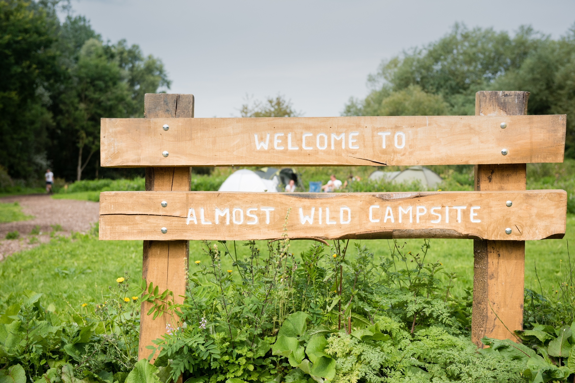 170826 LV Almost Wild Campsite Aug 2017 0061