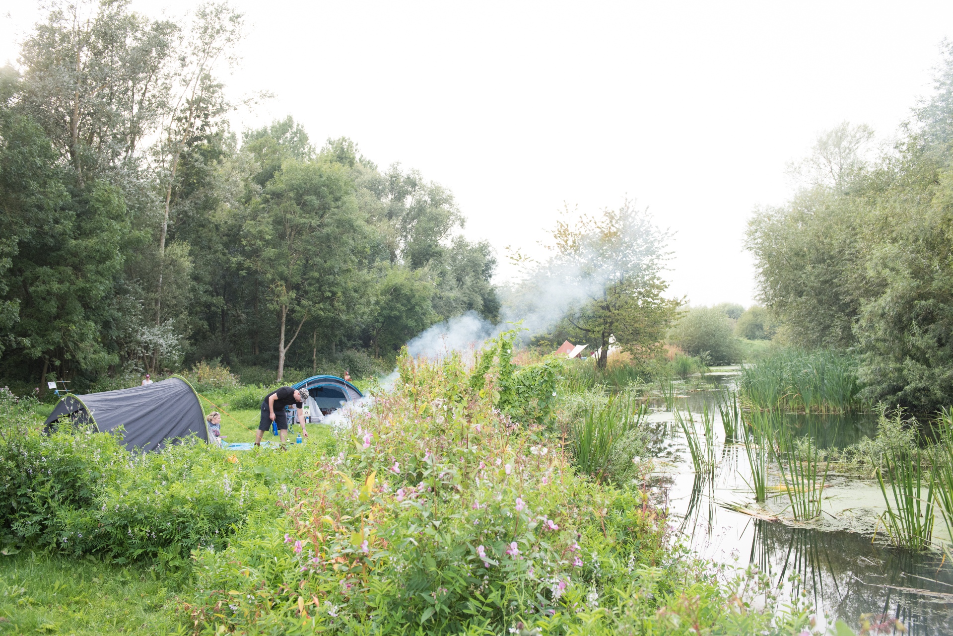 170826 LV Almost Wild Campsite Aug 2017 0003