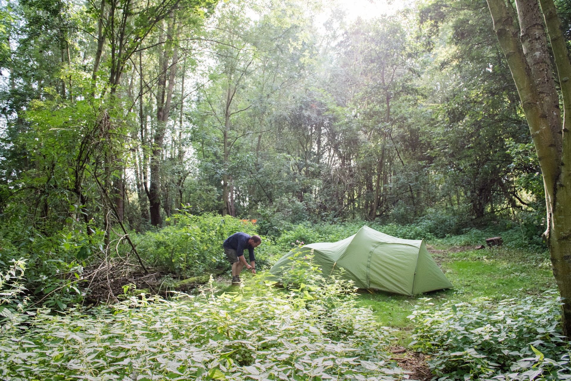 170826 LV Almost Wild Campsite Aug 2017 0112