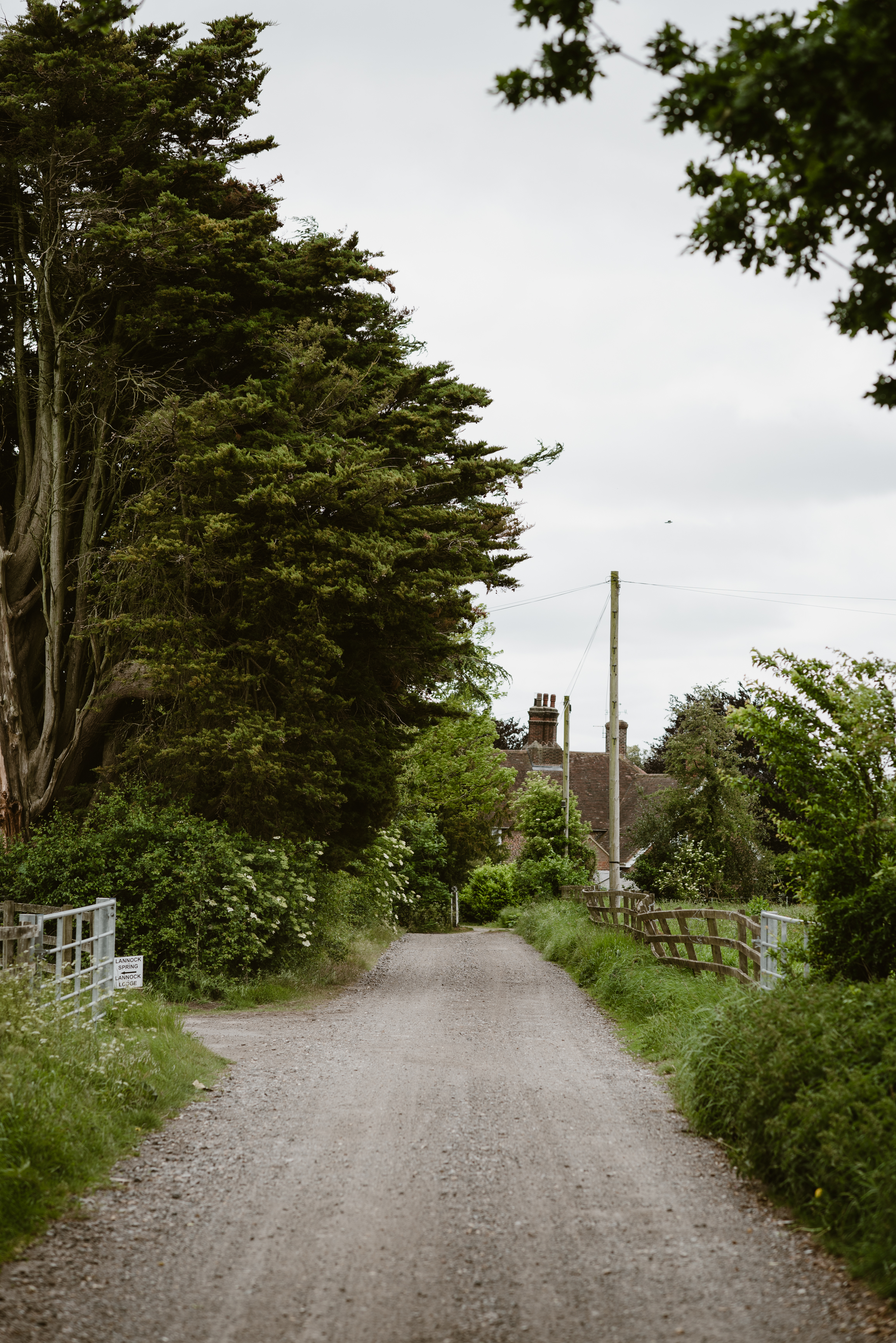 Crossover Blendery Jacks Photos 2