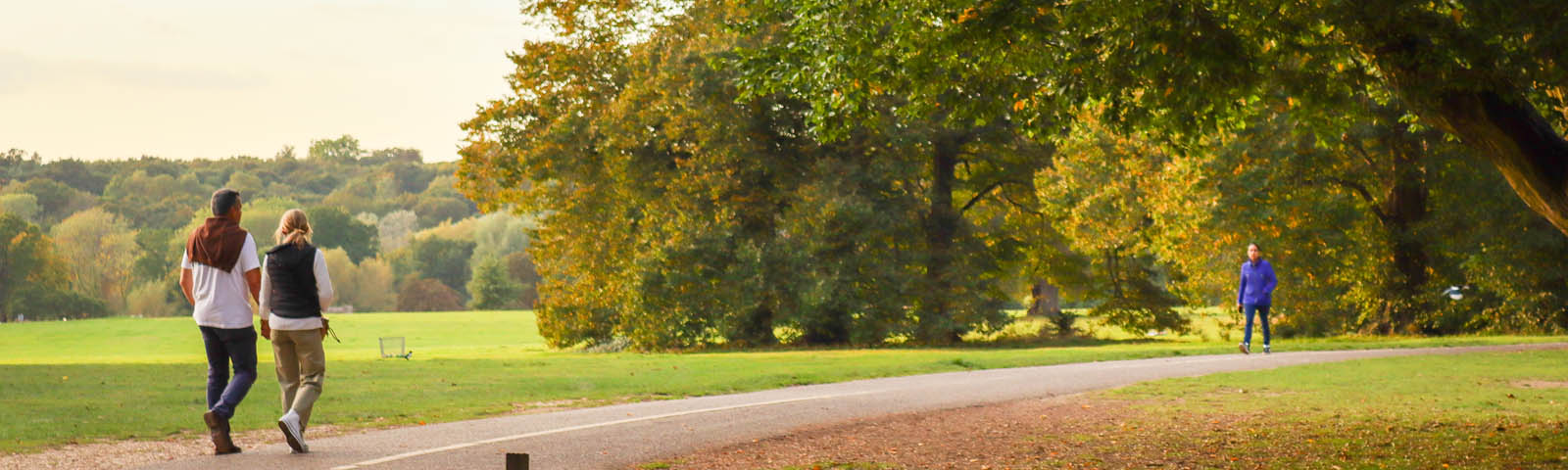 Driving Free Breaks Herts Banner