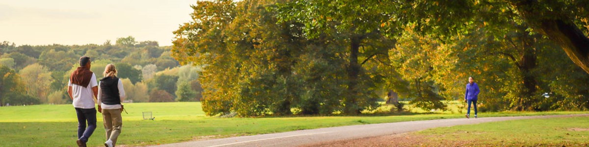 Driving Free Breaks Herts Banner