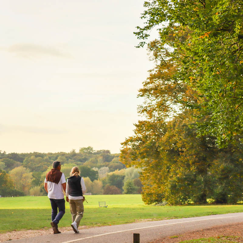 Driving Free Breaks Herts Summary