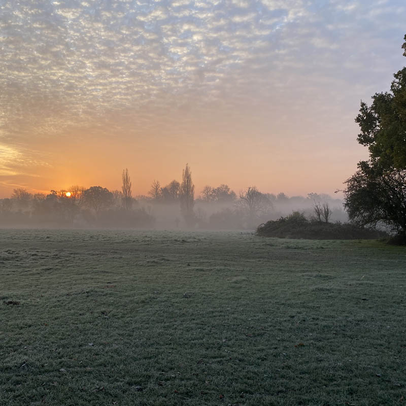 Pishiobury Park 800X800