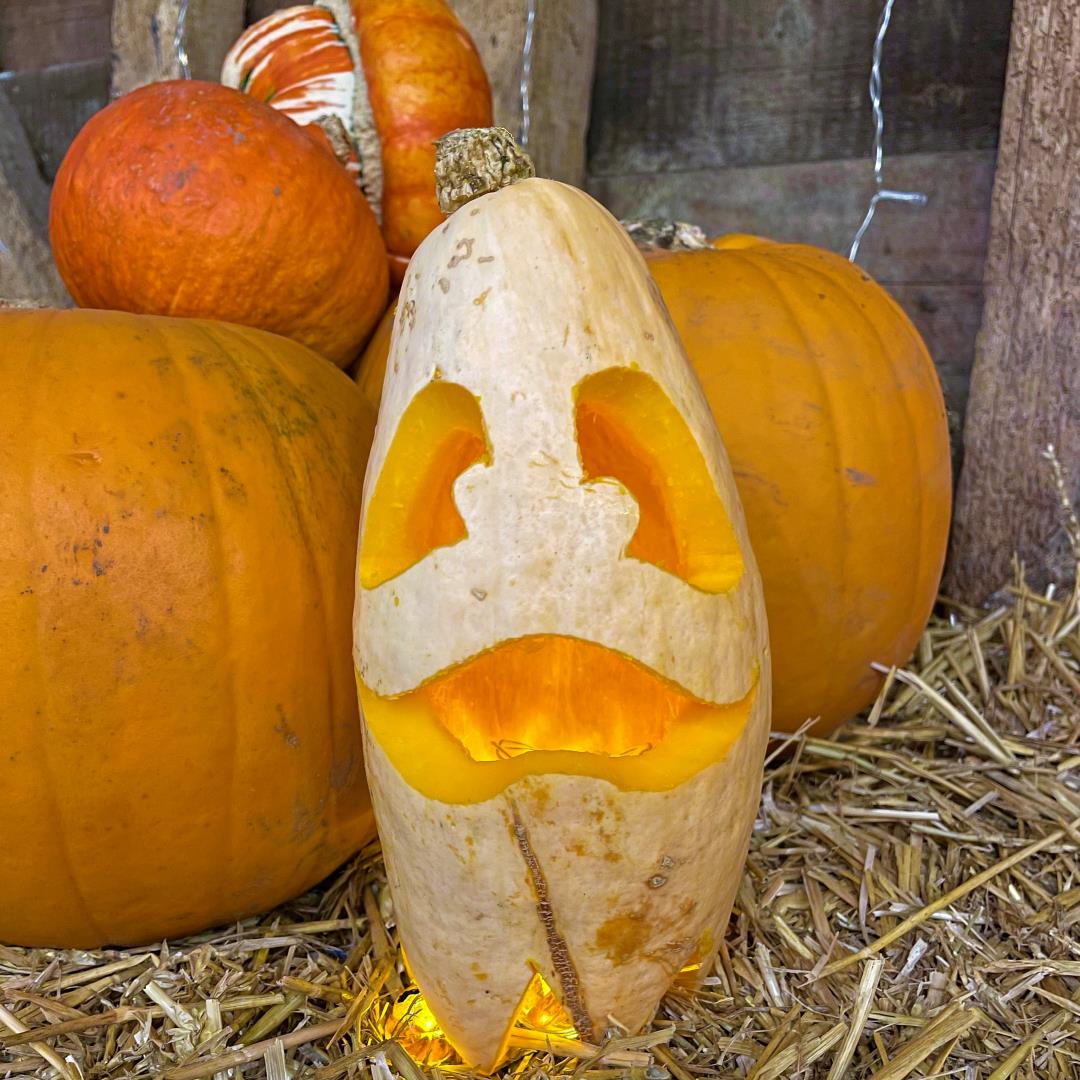 October Half Term and Halloween 2023 Visit Herts
