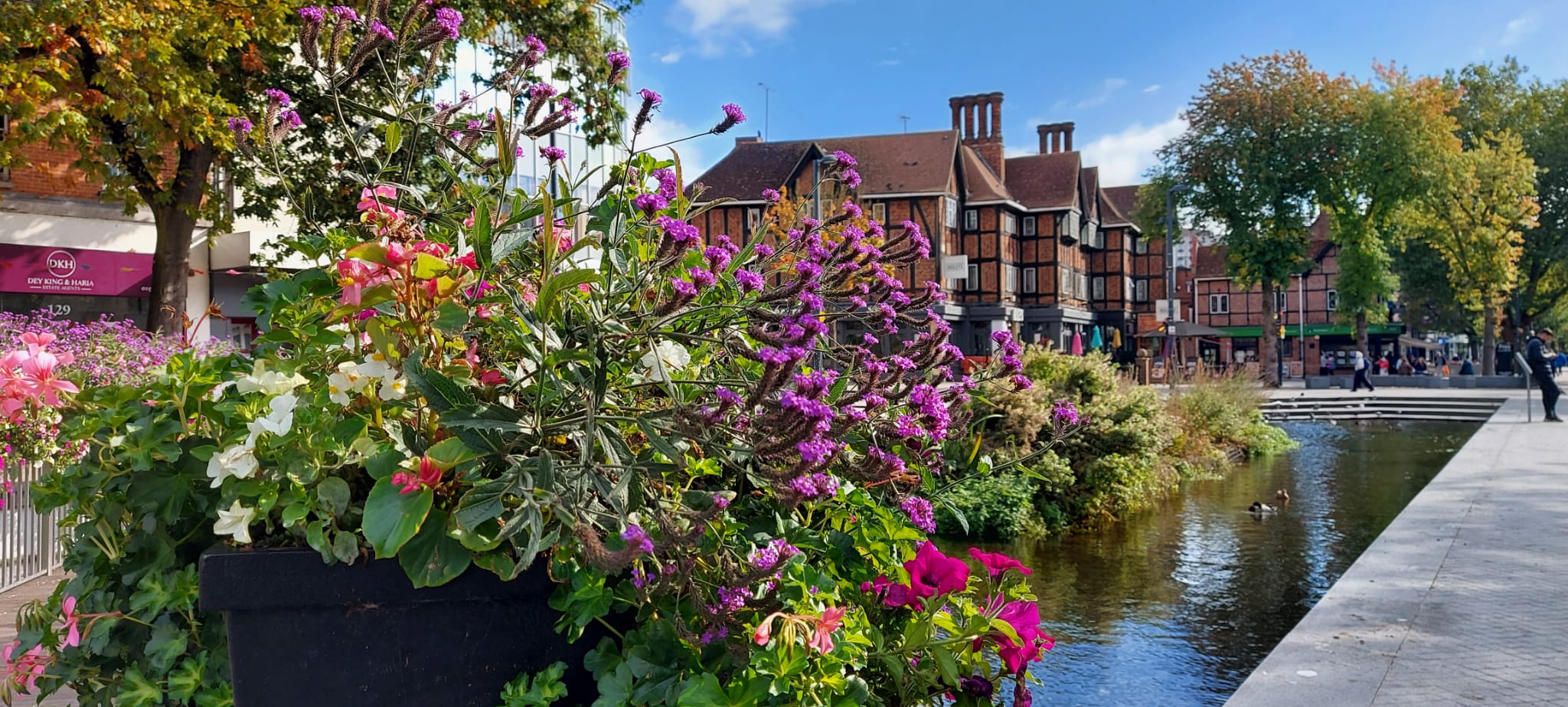 Watford Banner Website