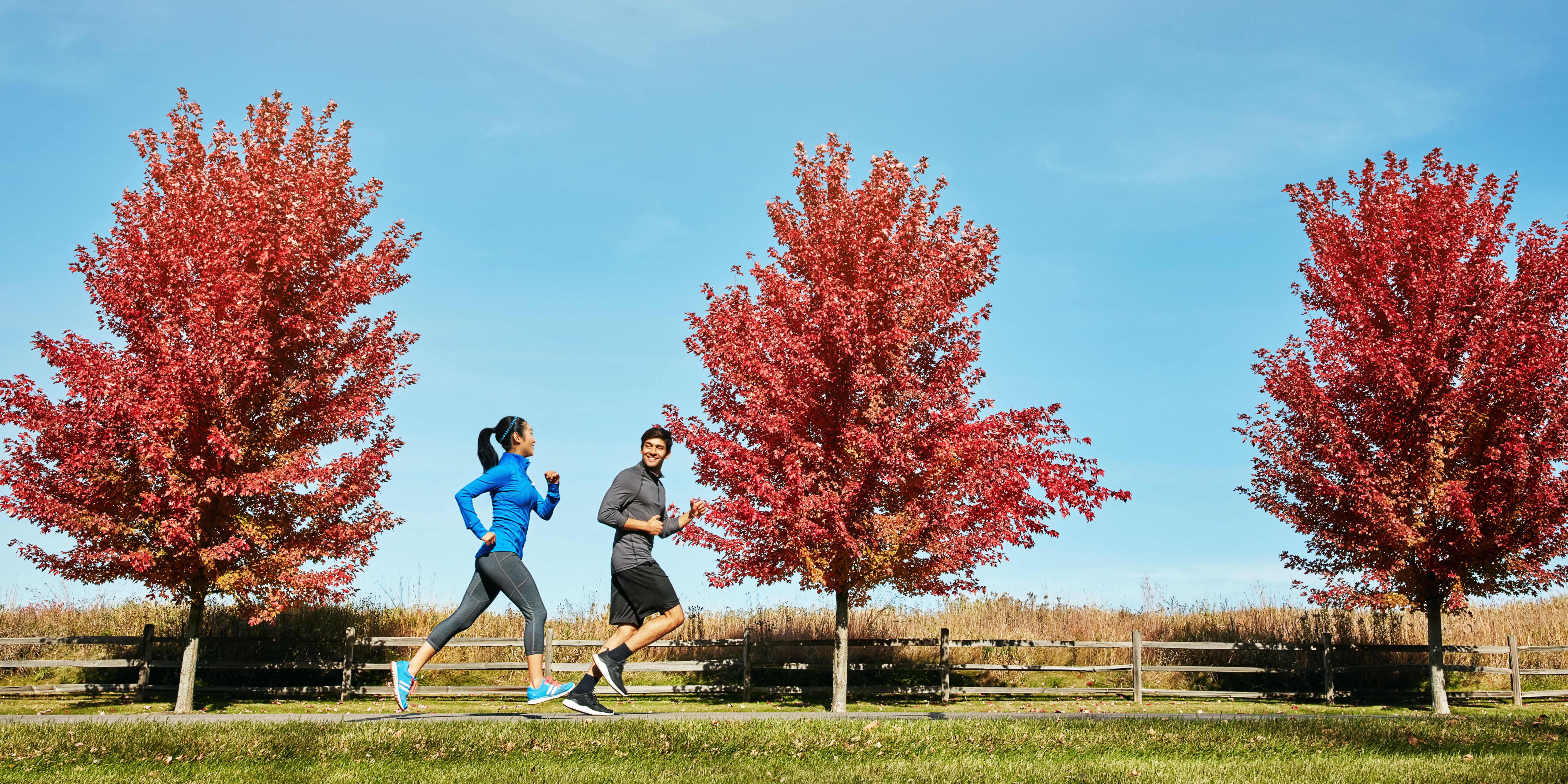 Untitled Design 2022 12 12T180502.460