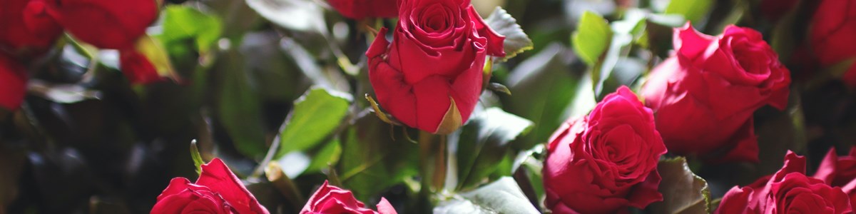 Pexels Jéshoots 4825 (1)