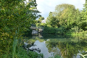 Broxbourne Mill