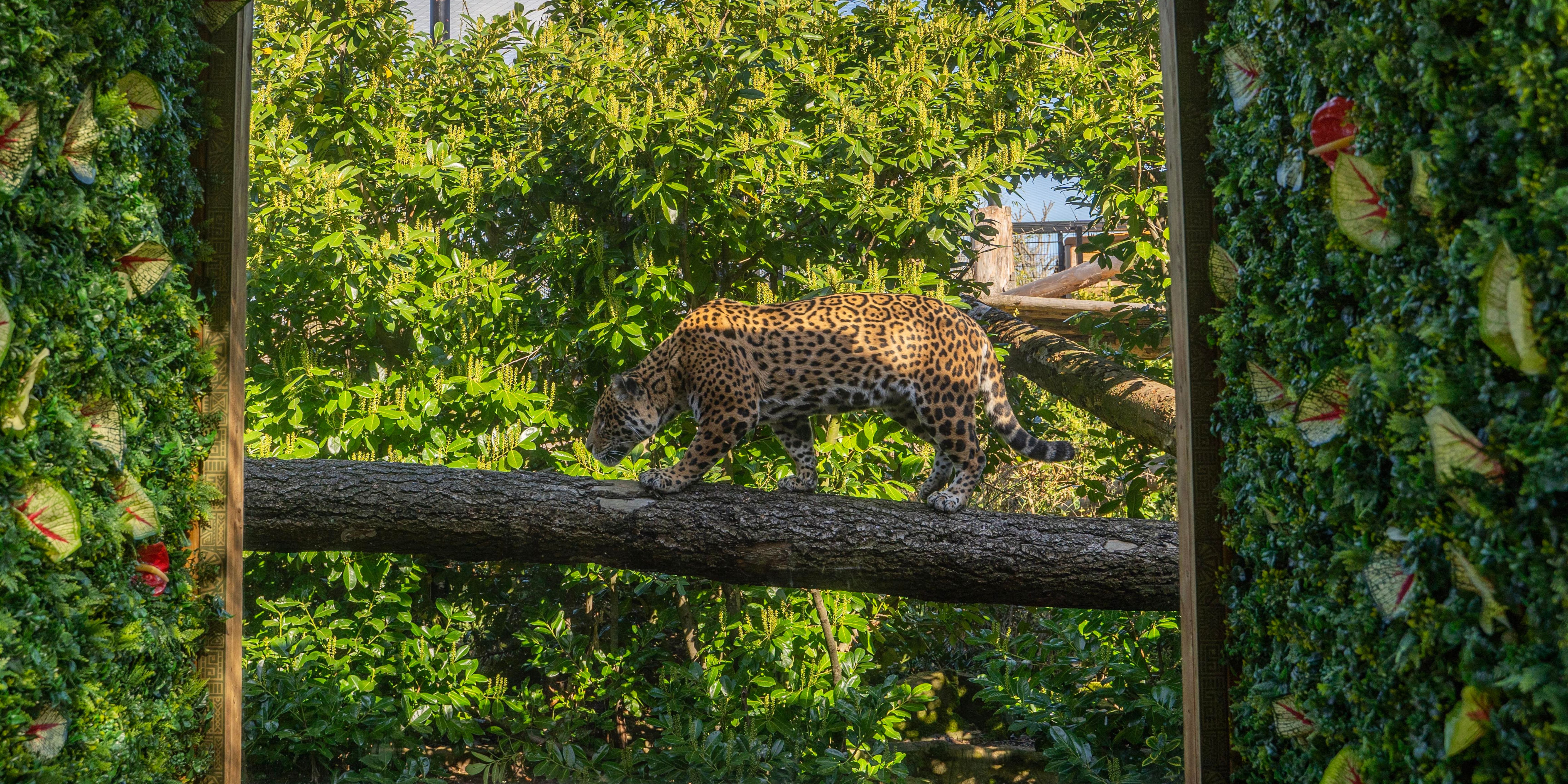 Untitled Design 2023 04 12T083329.409