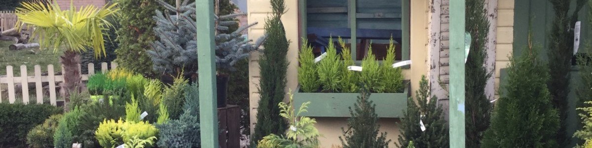 Van Hage Garden Centre, Chenies - Visit Herts