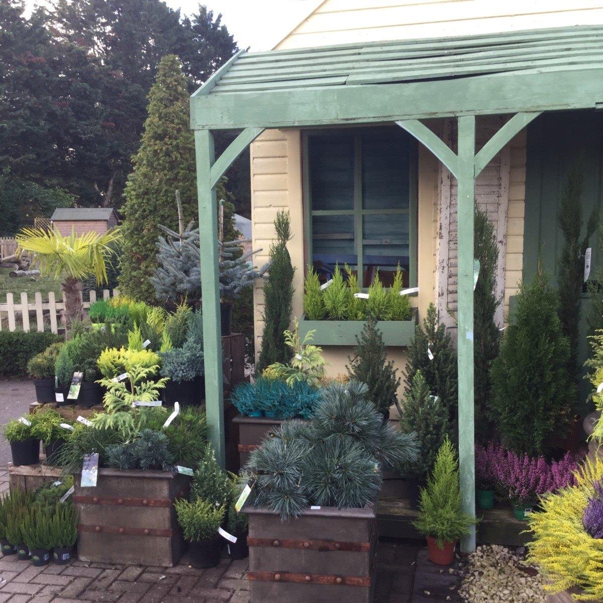 Van Hage Garden Centre, Chenies Visit Herts