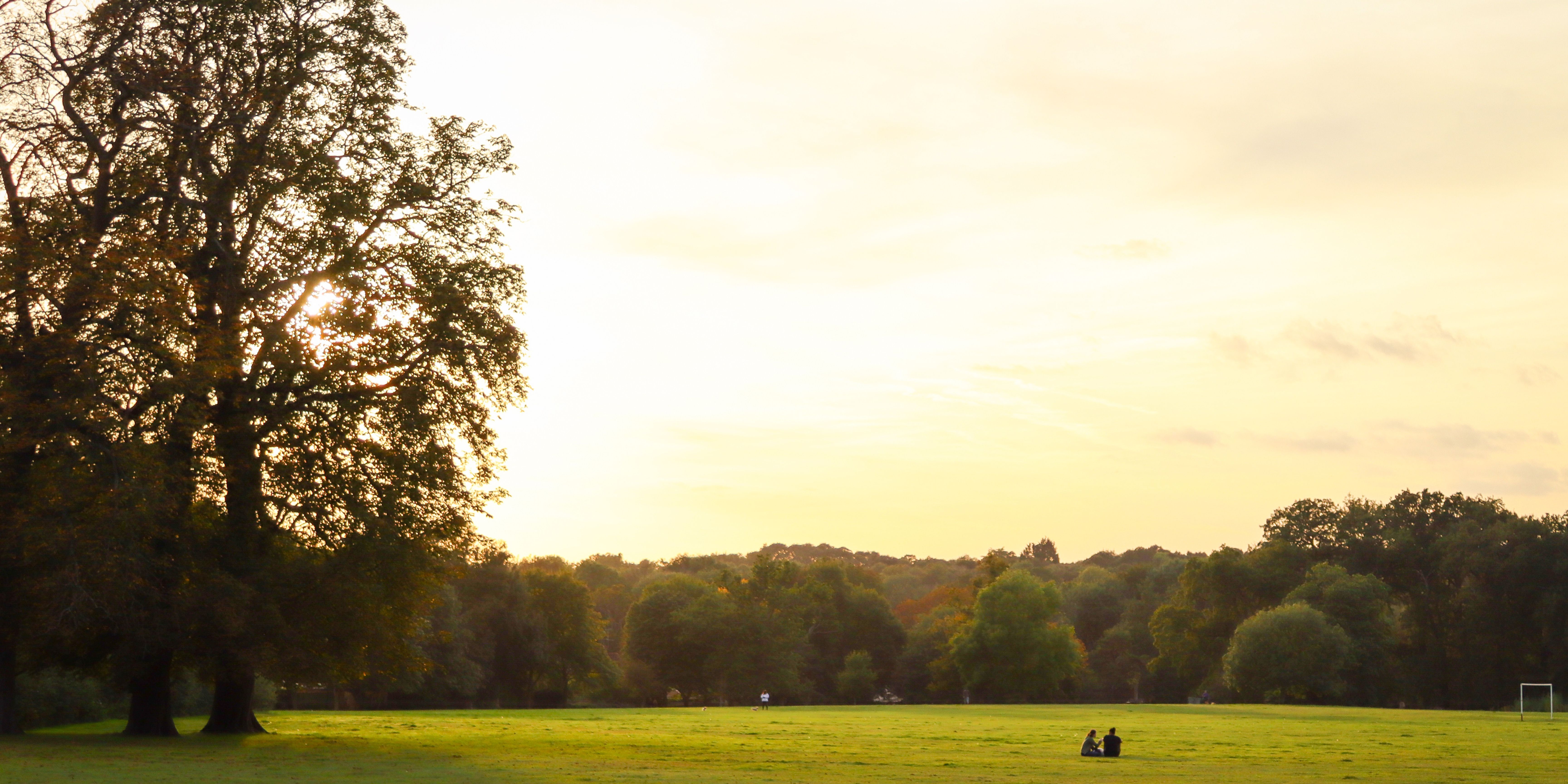 Untitled Design 2023 05 17T093356.143