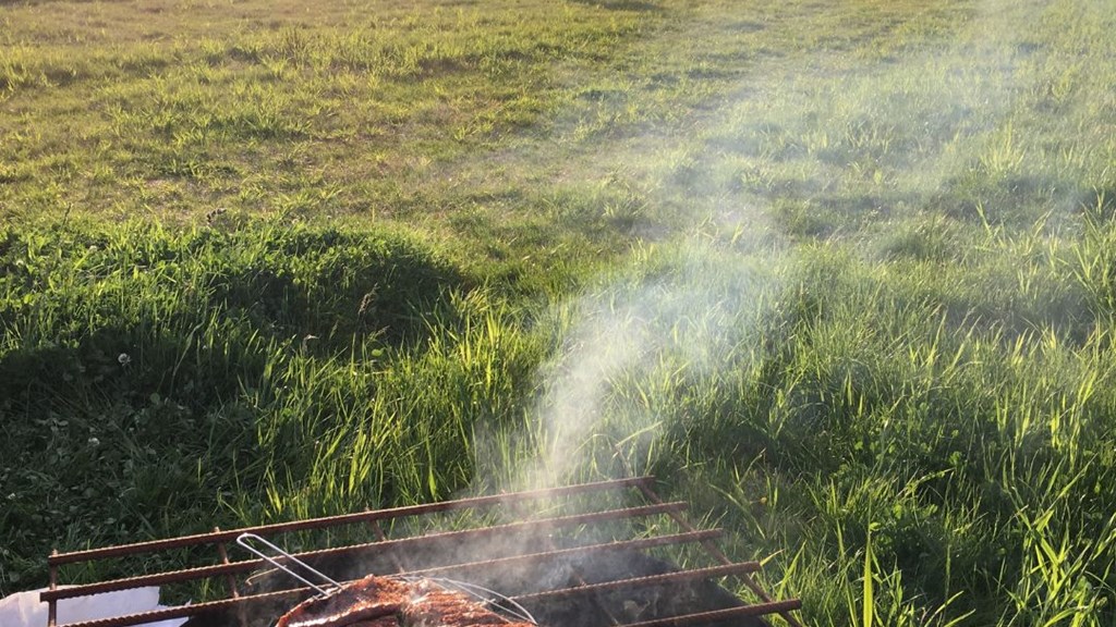 Untitled Design 2023 06 27T142819.302