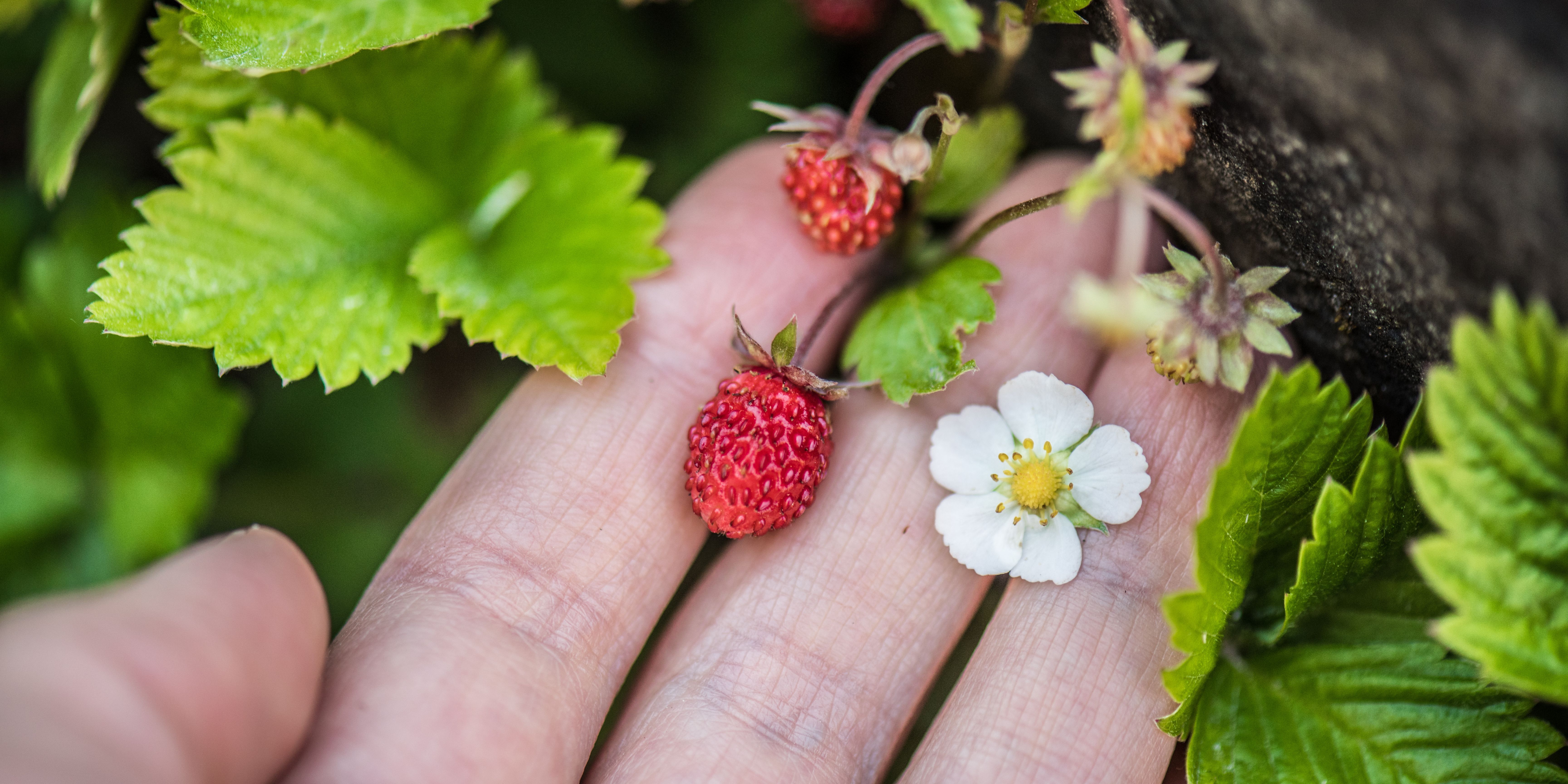 Untitled Design 2023 07 25T164736.330