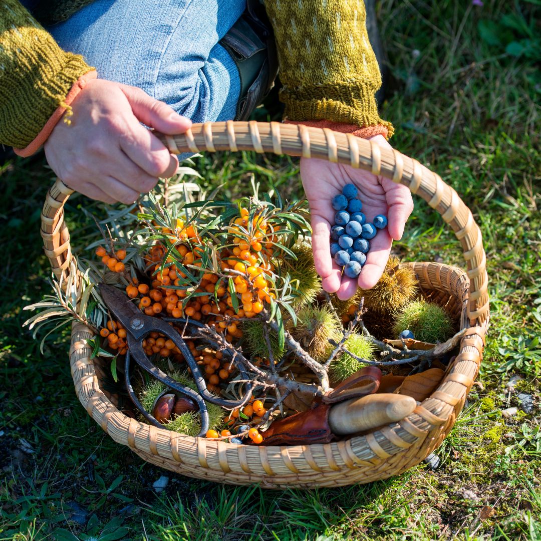 Untitled Design 2023 07 25T164613.239