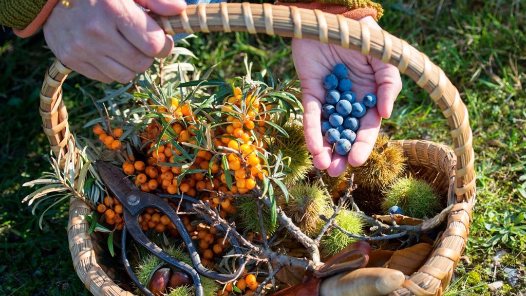 Untitled Design 2023 07 25T164613.239