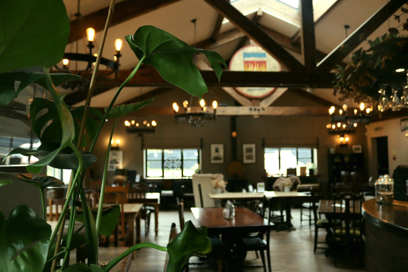 20230419094621 IMG 0459